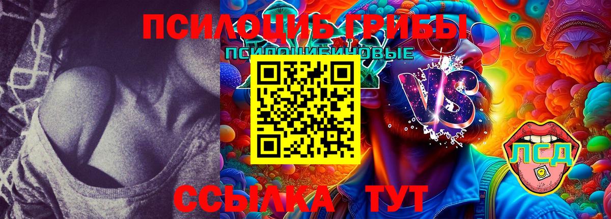 Янаул  Галлюциногенные грибы Psilocybe  Вход с VPN 